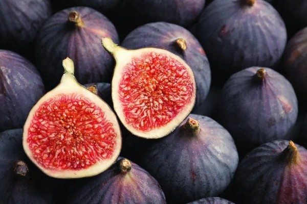 无花果树会开花吗，无花果树会开花