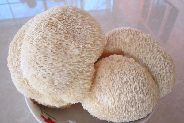 猴头菇的亩产量，产量约为500kg左右