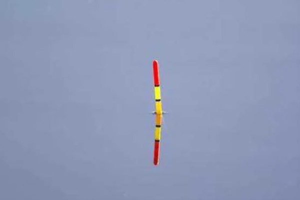 钓青鱼怎么挂螺蛳,取出螺肉挂在钩上