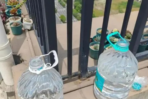 植物水培怎么变土培，取出植株经过消毒再栽入土壤中