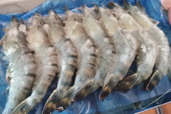 黑虎虾煮几分钟能熟，大火煮至沸腾后再煮五分钟