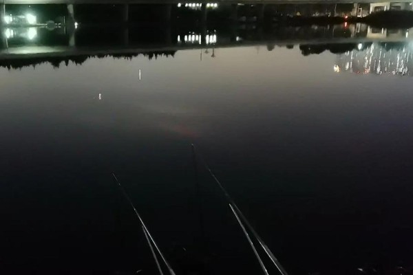 晚上钓翘嘴的深度，达到2-3米深即可