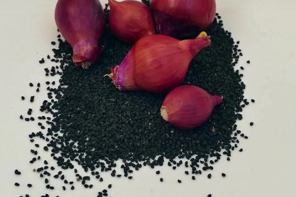 洋葱能不能自行留种，栽培2年左右才能收获种子