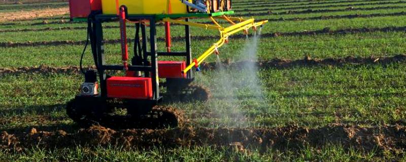 小麦除草剂冬季使用时间，在幼苗期、返青期的打药效果较好