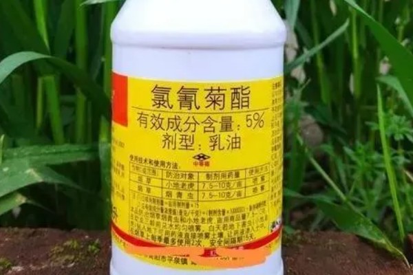 氯氰菊酯的防治对象,可灭杀鳞翅目、鞘翅目等害虫