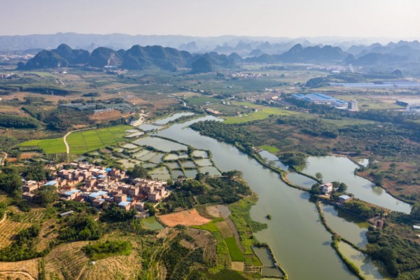 广西兴业县的特产，有兴业茶、兴业黄金桔等