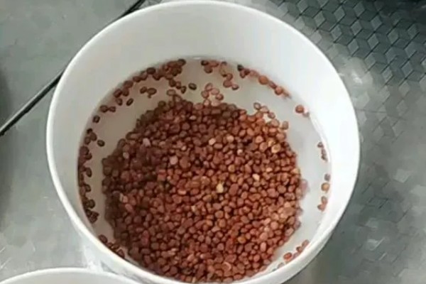 龙须菜的简介,属于天门冬科草本植物