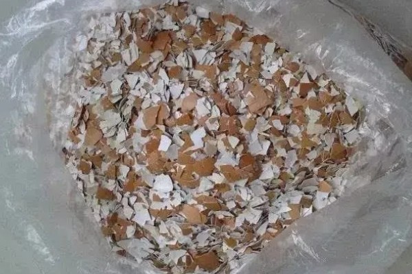 怎么用蛋壳做肥料,暴晒捣碎后埋入土壤中