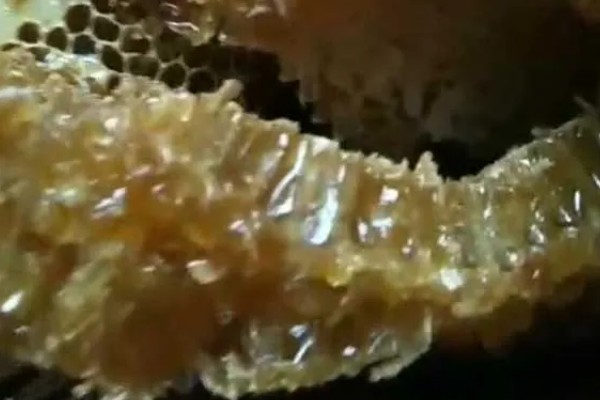 蜂巢蜜甜度高是不是真货，甜度不能作为鉴别真假的依据