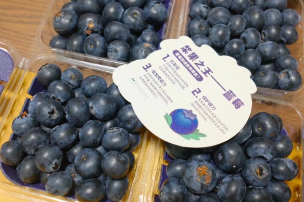 优瑞卡蓝莓有什么特点，果实较大硬度中等