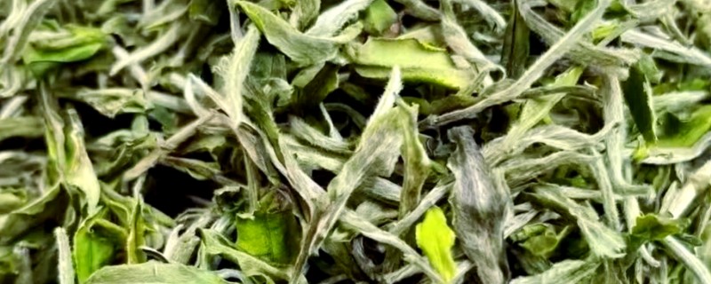 白牡丹茶与寿眉的区别,外形与香气均不同