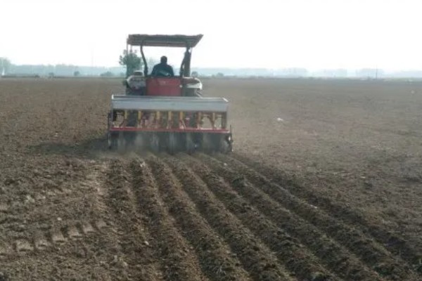 玉米如何种植,生长期对于水分的需求量较大