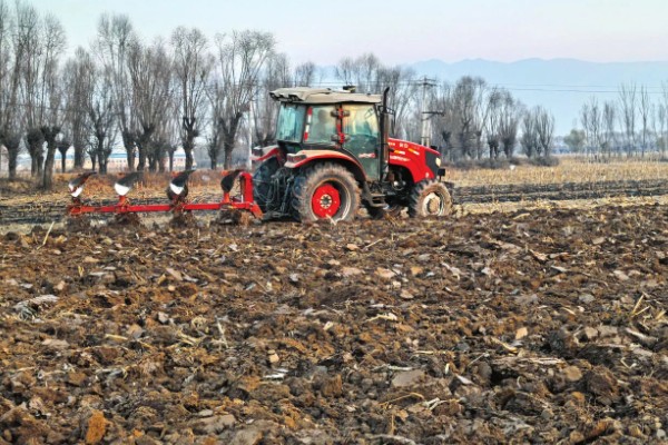 玉米如何种植,生长期对于水分的需求量较大