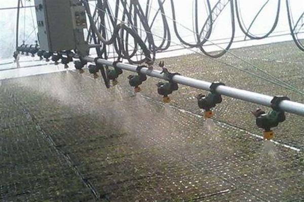 井冈霉素的作用,要用于防治水稻纹枯病