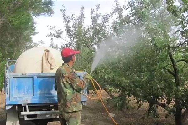 井冈霉素的作用,要用于防治水稻纹枯病