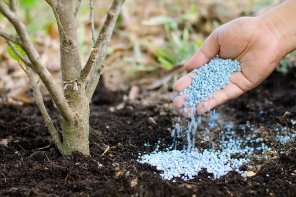 水分缺少对植物生长的影响，生长速度就会放缓