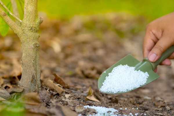 水分缺少对植物生长的影响，生长速度就会放缓