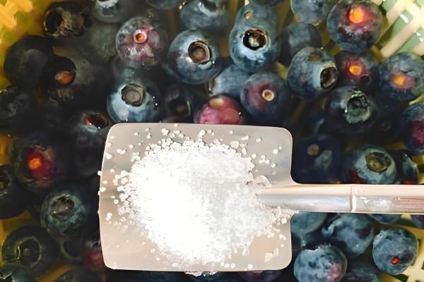 怎么洗蓝莓,可直接用清水冲洗