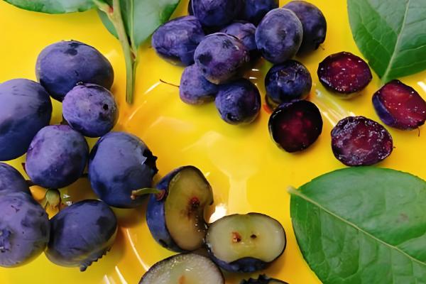 怎么洗蓝莓,可直接用清水冲洗