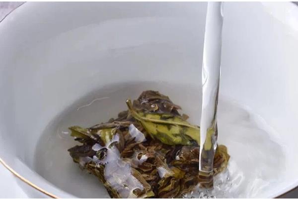 白牡丹茶与寿眉的区别,外形与香气均不同