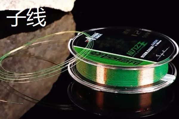 钓鱼主线和子线的区别,连接位置和粗细程度均不同