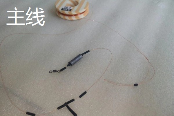 钓鱼主线和子线的区别,连接位置和粗细程度均不同