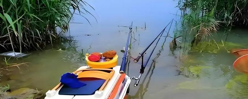 什么牌子的竞技鱼竿好，推荐迪佳、达瓦等