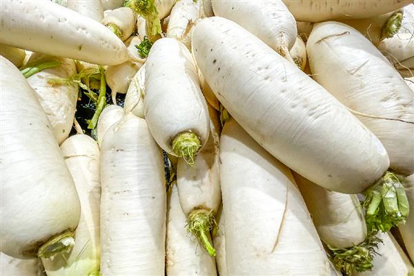 5月份适合种哪些菜，苋菜、空心菜等品种是适宜选择