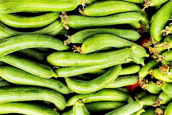 5月份适合种哪些菜，苋菜、空心菜等品种是适宜选择