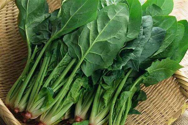 5月份适合种哪些菜，苋菜、空心菜等品种是适宜选择