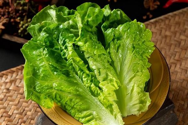 5月份适合种哪些菜，苋菜、空心菜等品种是适宜选择