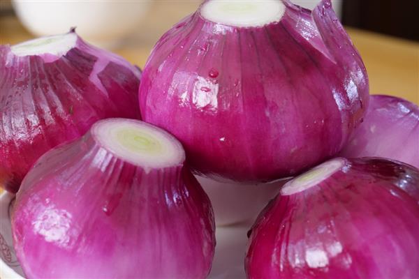 5月份适合种哪些菜，苋菜、空心菜等品种是适宜选择