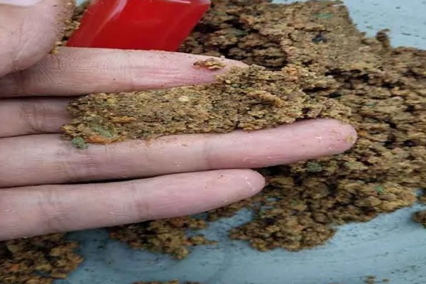 黄骨鱼苗的饲料,原料有鱼粉、豆饼等