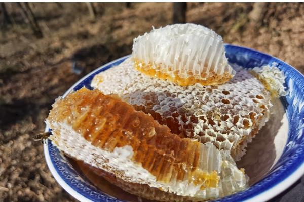 雪脂莲蜜和土蜂蜜哪个更好，色泽上前者更佳