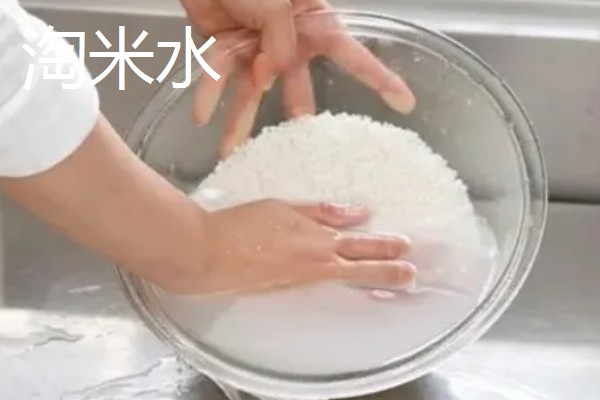 生活中哪些东西可以用来浇花，常见淘米水、食醋水、剩茶水等种类