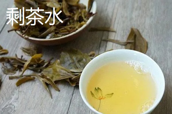 生活中哪些东西可以用来浇花，常见淘米水、食醋水、剩茶水等种类