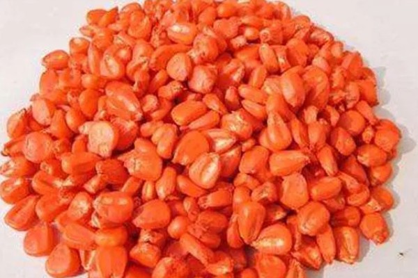 防治玉米疯顶病的方法,发现病株要及时销毁