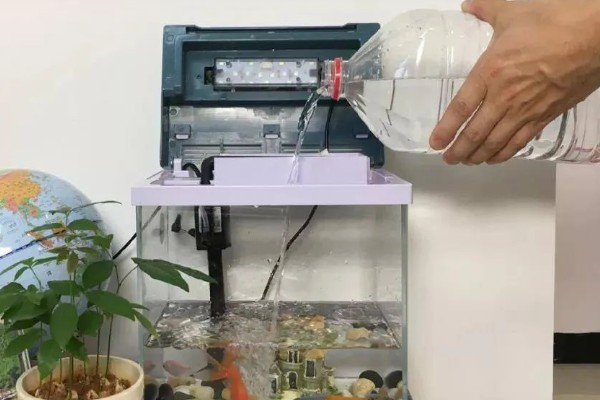 鱼沉底不游如何处理，可采取停喂、换水等措施