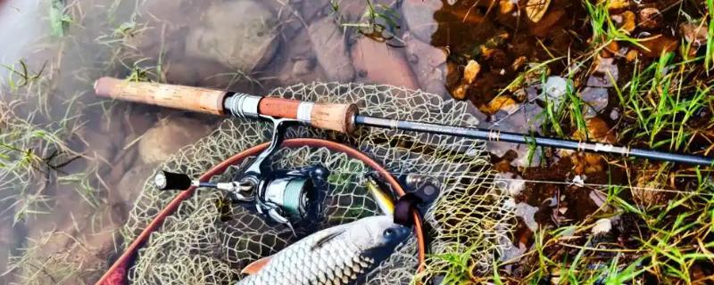 溪流竿简介，是一种短节手竿
