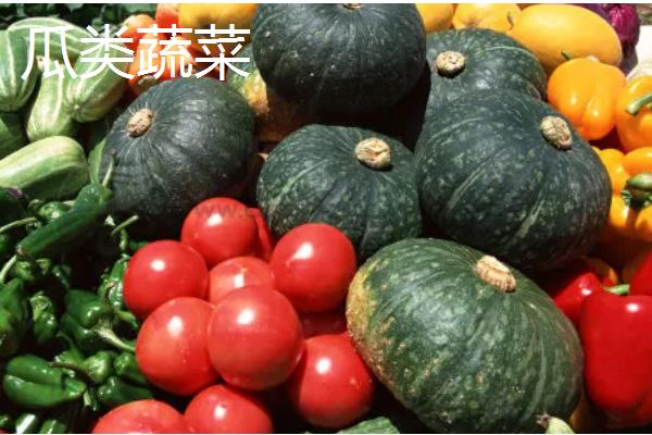 夏季蔬菜的品种，根茎蔬菜有莴笋、红薯、土豆等