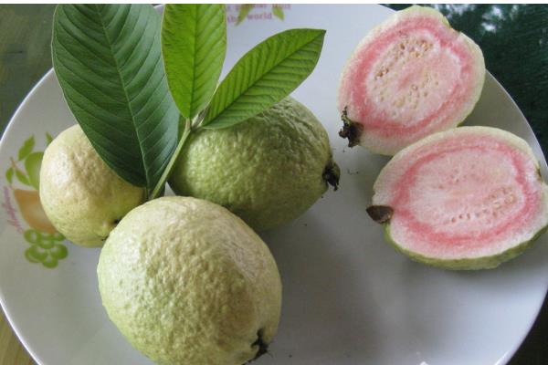 胭脂红番石榴品种的特点,其香味特别浓郁