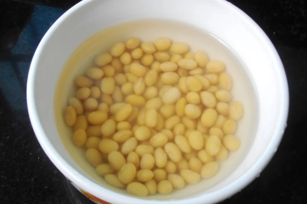 发财树浇什么水可以快速生长,柳枝水、黄豆水比较合适