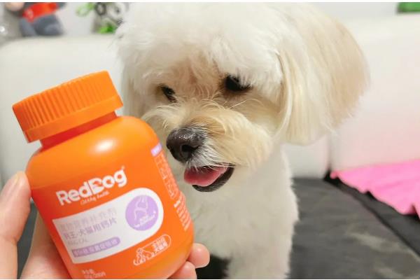 狗狗生完小狗一直喘的原因,可能是产后缺钙引起的