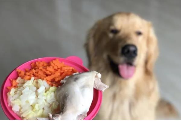 狗狗生完小狗一直喘的原因,可能是产后缺钙引起的