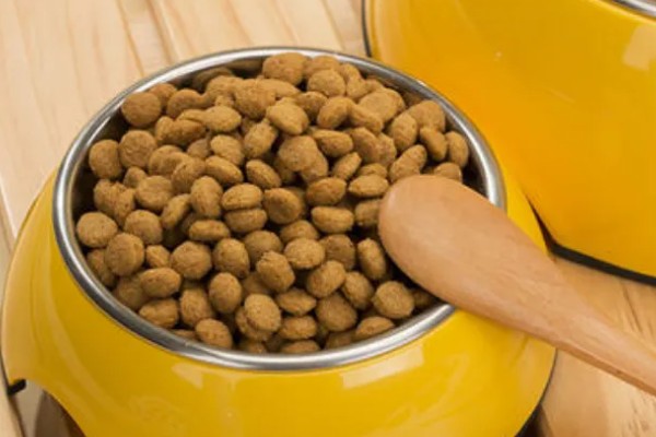 成猫吃幼猫粮有没有坏处,偶尔吃没有坏处