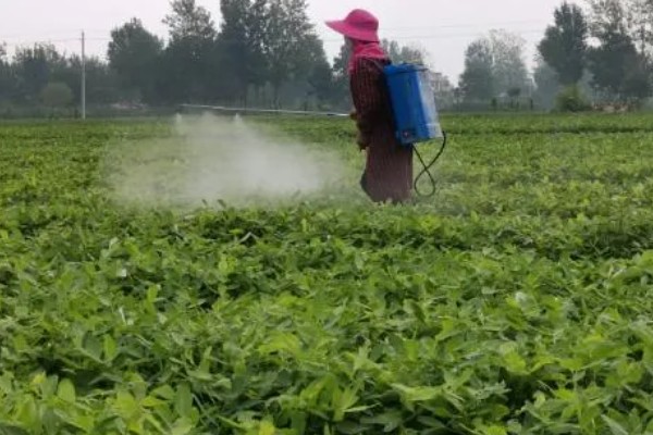 花生地打封闭药的时间，种子出苗后或杂草4叶期可以喷雾