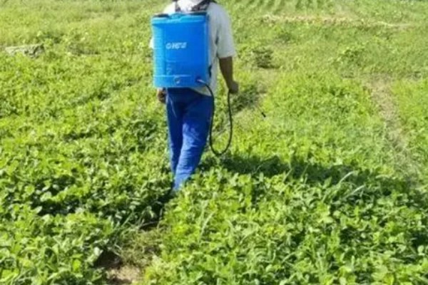 花生地打封闭药的时间，种子出苗后或杂草4叶期可以喷雾