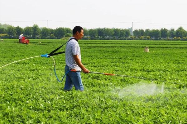 花生地打封闭药的时间，种子出苗后或杂草4叶期可以喷雾