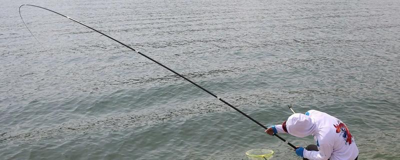 钓鱼的简介，最早可追溯到5万年前