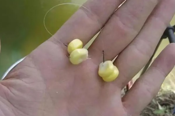 钓鱼的简介，最早可追溯到5万年前